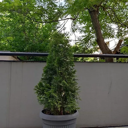 Park Corner Center Free Parking Sarajevo